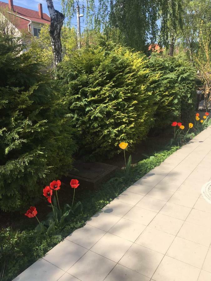 Elena Villa Хевиз Экстерьер фото
